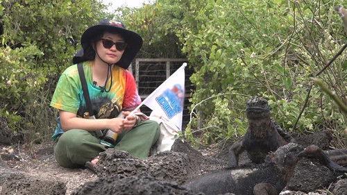 World Dice Tour Season 1 Episode 8 - Episode 8