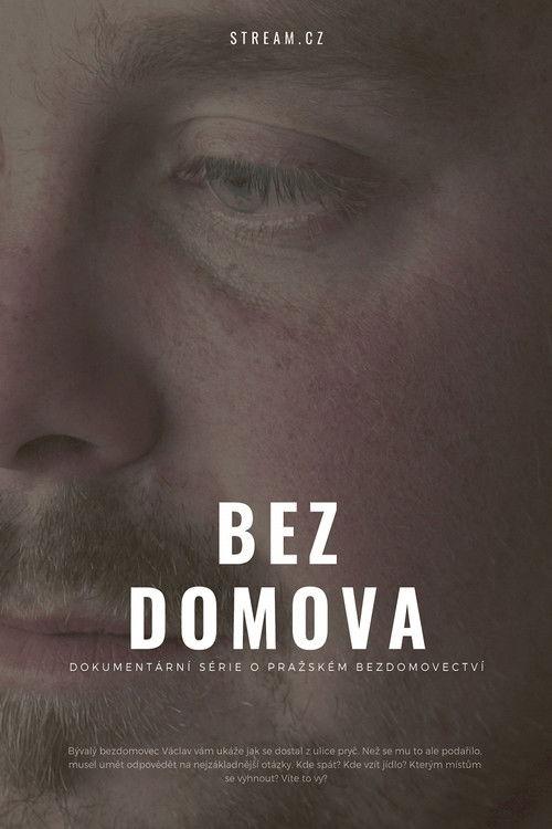 Bez domova poster