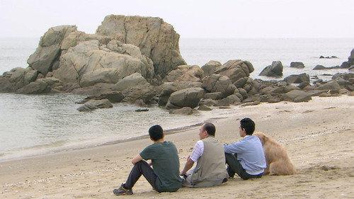 Air City Season 1 Episode 14 - Episode 14