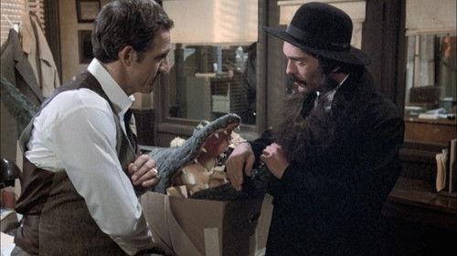 Hill Street Blues Season 1 Episode 10 - Gatorbait