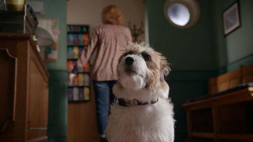 Dokter Tinus Season 5 Episode 5 - Zie ze vliegen