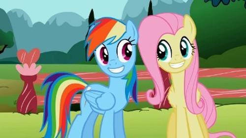 My Little Pony: Friendship Is Magic Season 2 Episode 7 - May the Best Pet Win!