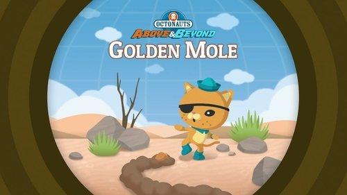 Octonauts: Above & Beyond Season 1 Episode 16 - The Octonauts and the Golden Mole