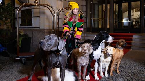 Germany's Next Topmodel Season 16 Episode 4 - Fashion Divas and Roller Girls