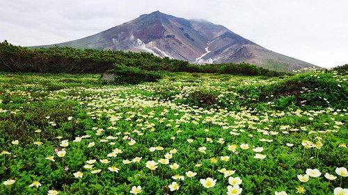 Wild Hokkaido! Season 1 Episode 12 - Summer of Taisetsu Mountain Range