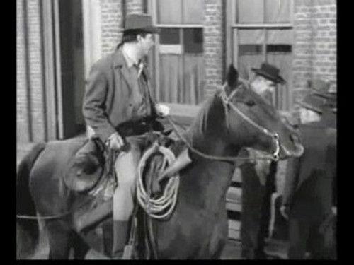 undefined Season 9 Episode 17 - Friend