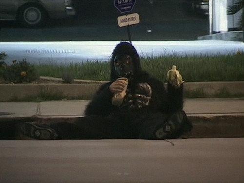 Jackass Season 1 Episode 5 - Mianus