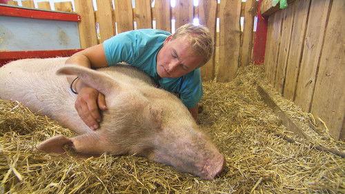 Dyrepasserne Season 8 Episode 1 - Episode 1