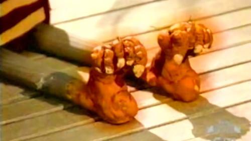 The Marvelous Misadventures of Flapjack Season 1 Episode 3 - Kid Nickels