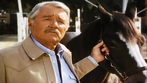 Knots Landing Season 6 Episode 14 - #14 With a Bullet