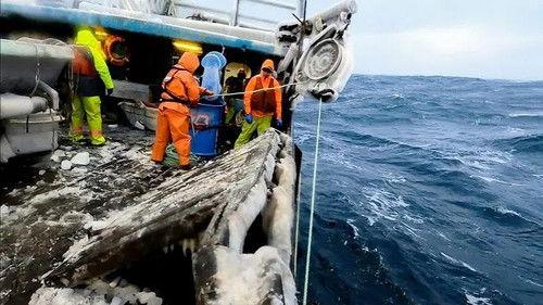 Deadliest Catch Season 17 Episode 13 - Of Ice And Men