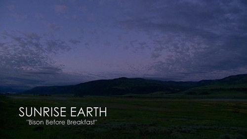 Sunrise Earth Season 1 Episode 4 - Bison Before Breakfast