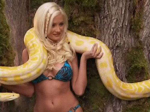 The Girls Next Door Season 3 Episode 5 - Calendar Girls