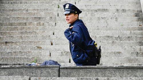 Blue Bloods Season 12 Episode 9 - Firewall