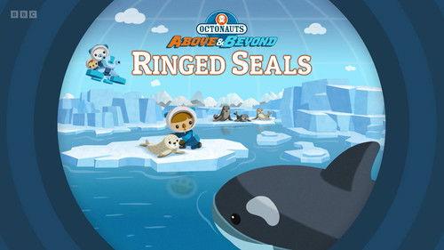 Octonauts: Above & Beyond Season 4 Episode 9 - Ringed Seals