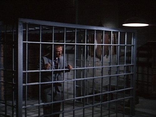 My Favorite Martian Season 3 Episode 22 - Butterball