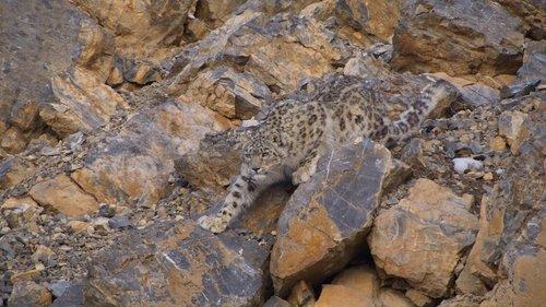 Earthsounds Season 1 Episode 2 - The Himalayas