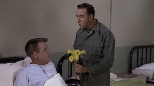 Gomer Pyle, U.S.M.C. Season 3 Episode 3 - Gomer the Carrier