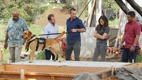 undefined Season 8 Episode 16 - O na hoku o ka lani ka i ʻike ia Paeʻ (Only the Stars of Heaven Know Where Pae Is)