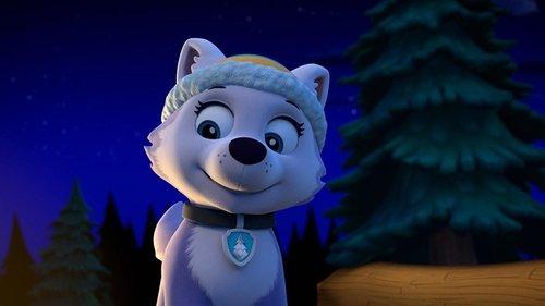 PAW Patrol Season 2 Episode 14 - The New Pup
