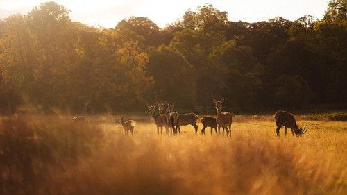 Wild Great Britain Season 1 Episode 2 - Water Worlds