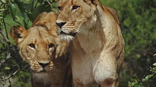 Savage Kingdom Season 4 Episode 1 - A Mother's Sacrifice