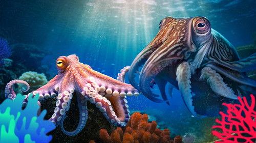 Reef School Season 2 Episode 13 - Gold Medal Mums