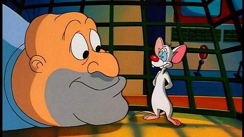 Animaniacs Season 4 Episode 16 - Pinky And The Ralph