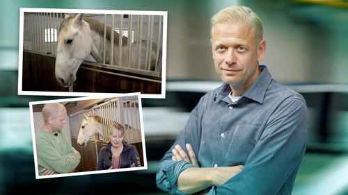 Kontant Season 18 Episode 14 - Episode 14