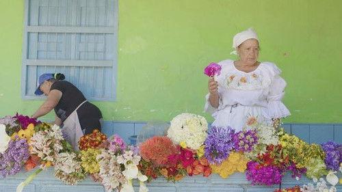 The Pure Creole Season 5 Episode 9 - Episode 9