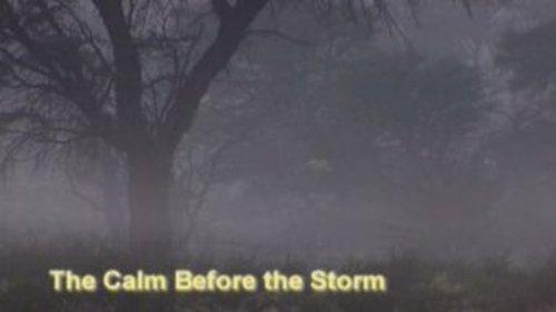 Meerkat Manor Season 1 Episode 12 - The Calm Before the Storm