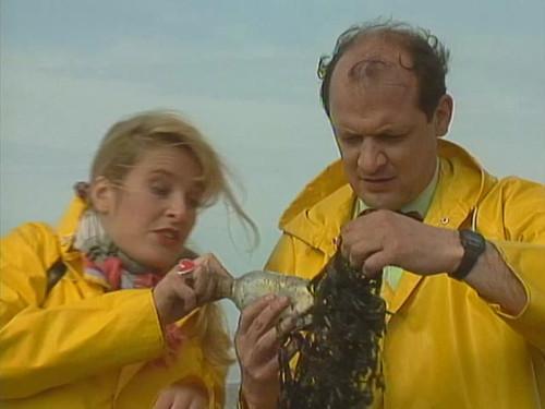 Mailbox X Season 6 Episode 11 - Episode 11