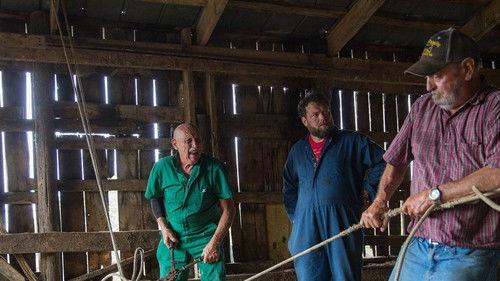 The Incredible Dr. Pol Season 18 Episode 7 - Sticks and Stones