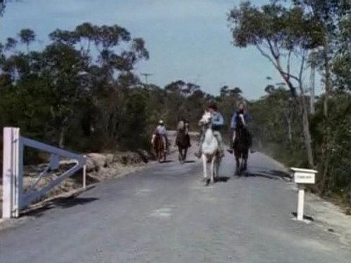 Skippy the Bush Kangaroo Season 2 Episode 24 - Round-Up