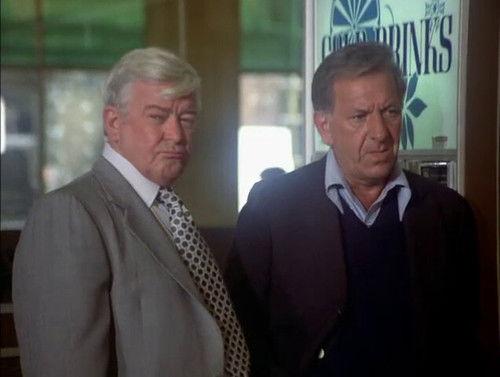 Quincy, M.E. Season 5 Episode 4 - Never a Child