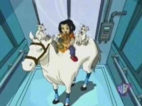 Jackie Chan Adventures Season 3 Episode 13 - Animal Crackers