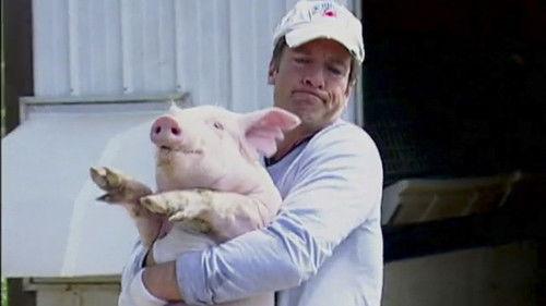 Dirty Jobs Season 1 Episode 3 - Pig Farmer