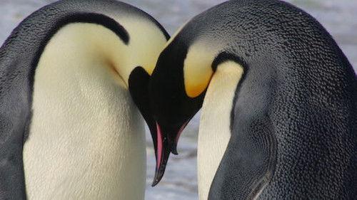 Wild Babies Season 1 Episode 7 - Hostile Homes