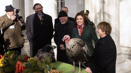 Veep Season 5 Episode 5 - Thanksgiving