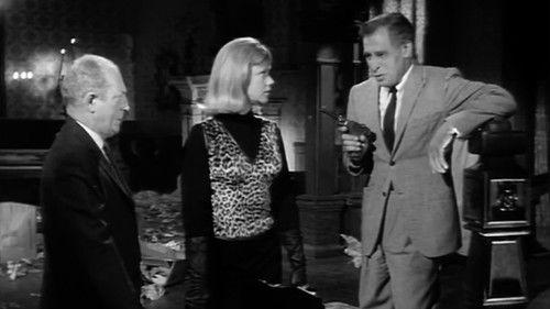 Honey West Season 1 Episode 8 - In the Bag