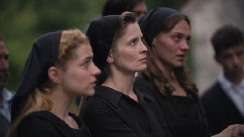 Wild Bees Season 1 Episode 1 - Episode 1