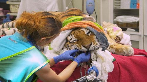 Dyrepasserne Season 11 Episode 2 - Episode 2