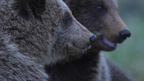 72 Cutest Animals Season 1 Episode 5 - Compendium of Vice