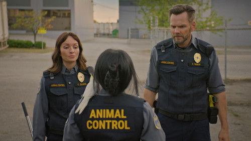 Animal Control Season 4 Episode 6 - Roosters and Moles
