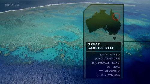 Nature's Microworlds Season 1 Episode 8 - Great Barrier Reef