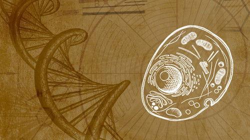 Inner Evolution Season 1 Episode 11 - Telomeres, Longevity & Spirituality