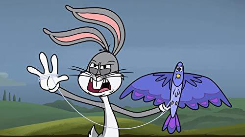 New Looney Tunes Season 2 Episode 31 - A Duck in the Aquarium