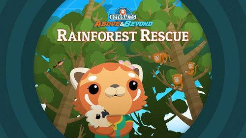Octonauts: Above & Beyond Season 2 Episode 17 - Rainforest Rescue