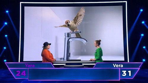 The Floor Season 4 Episode 7 - Episode 7