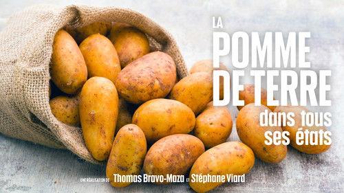 Le Doc du dimanche Season 9 Episode 12 - Episode 12